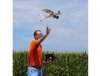 E-flite UMX Timber BNF Basic